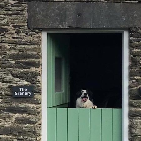 Dog Friendly Cottage, Geufron Farm Near Tywyn Bryn-crug Exteriör bild