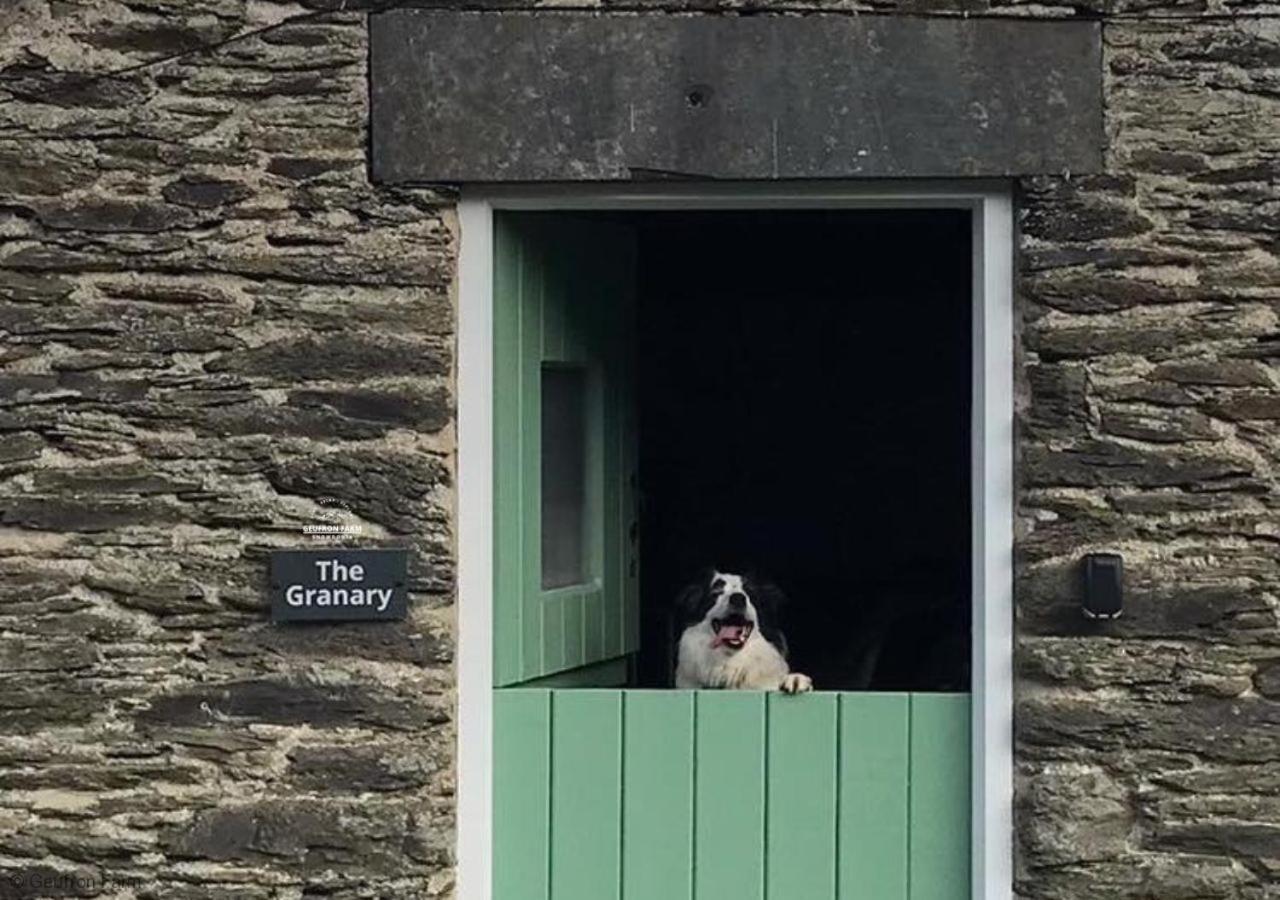 Dog Friendly Cottage, Geufron Farm Near Tywyn Bryn-crug Exteriör bild