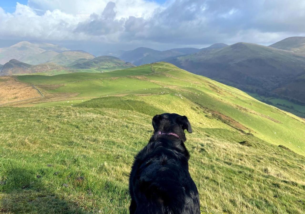 Dog Friendly Cottage, Geufron Farm Near Tywyn Bryn-crug Exteriör bild