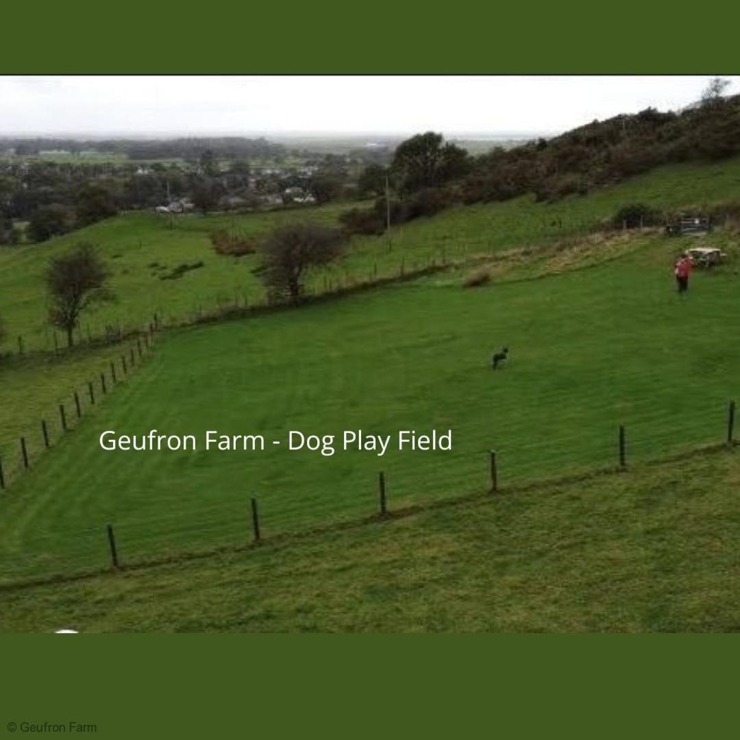 Dog Friendly Cottage, Geufron Farm Near Tywyn Bryn-crug Exteriör bild