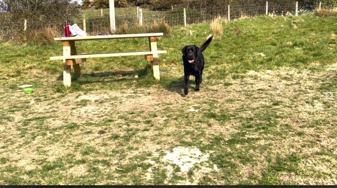 Dog Friendly Cottage, Geufron Farm Near Tywyn Bryn-crug Exteriör bild